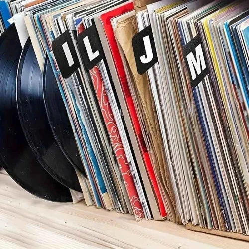 Vinyl record dividers for LP collection organization